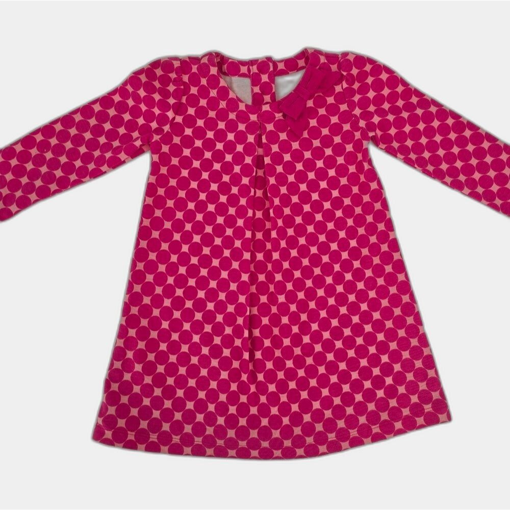 NWT Gymboree Girl Long Sleeve Pink Dress Size 18-24 Months